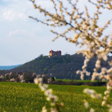 Schloss Bieberstein